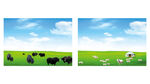 蒙古草原牦牛绵羊