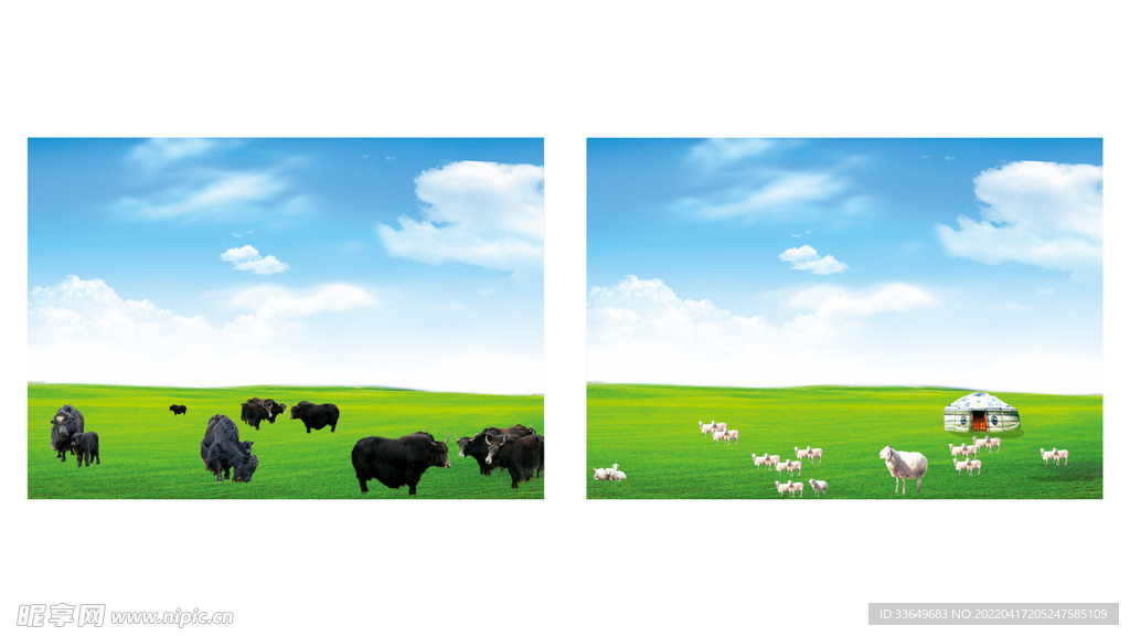 蒙古草原牦牛绵羊