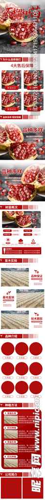 首页 详情页