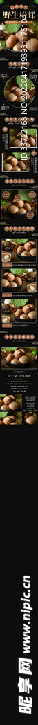 首页 详情页