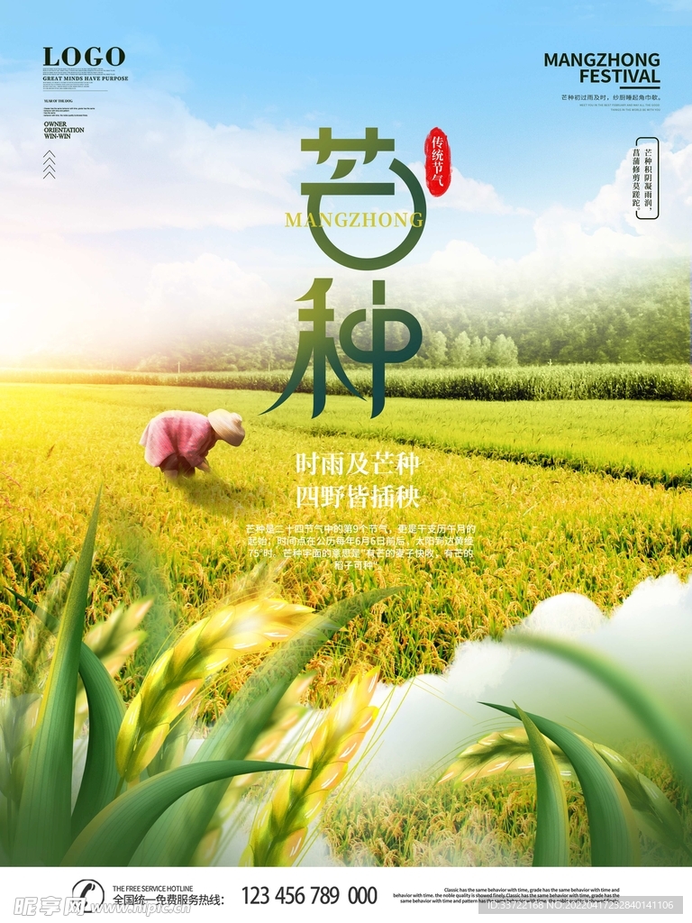 芒种