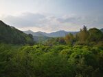 山
