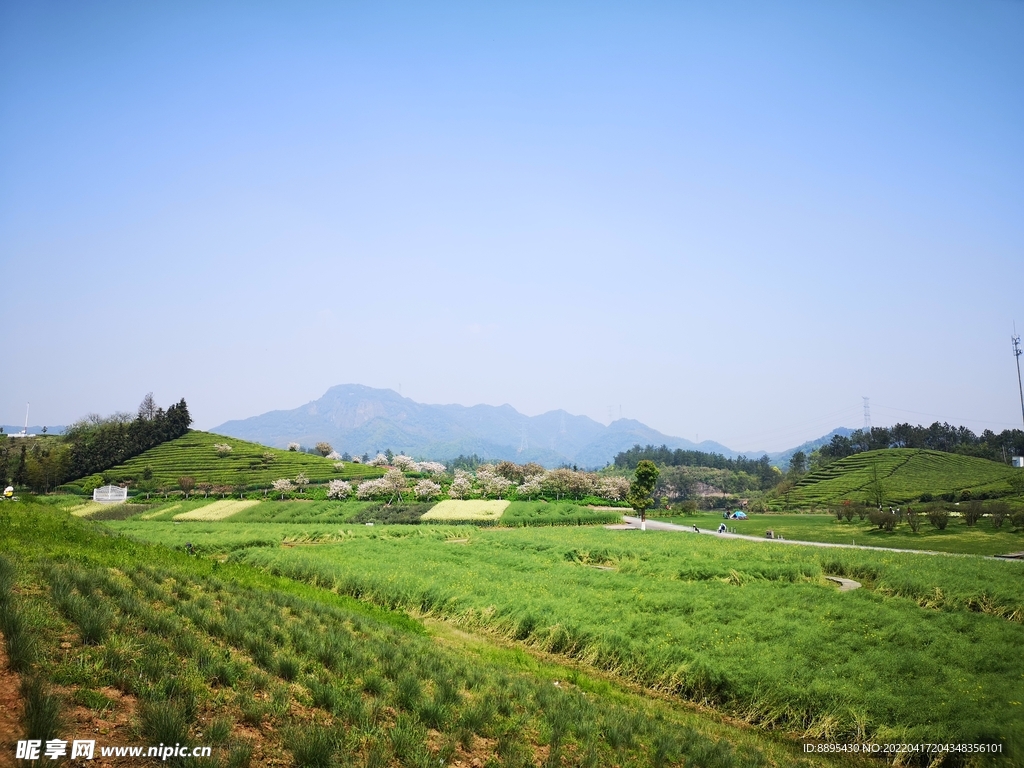 风景