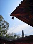 延福寺