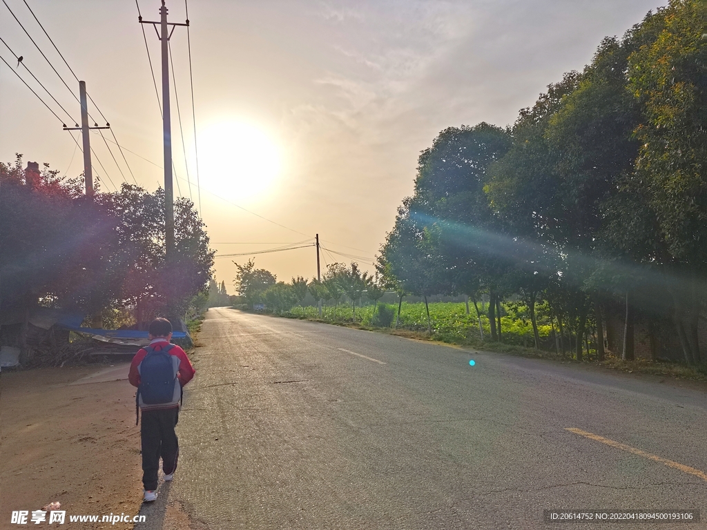 日暮下的乡村道路风景