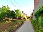 美丽的乡村道路风景