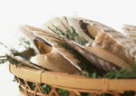 美味海鲜料理   