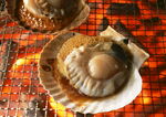 中华美食料理   