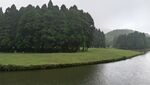 森林 草地 湖泊