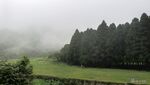 森林与草地