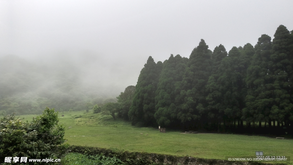 森林与草地