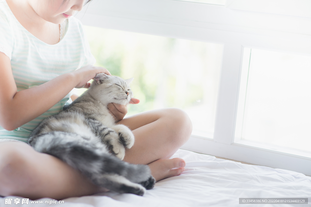 猫 