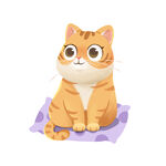 猫 
