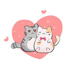 猫  