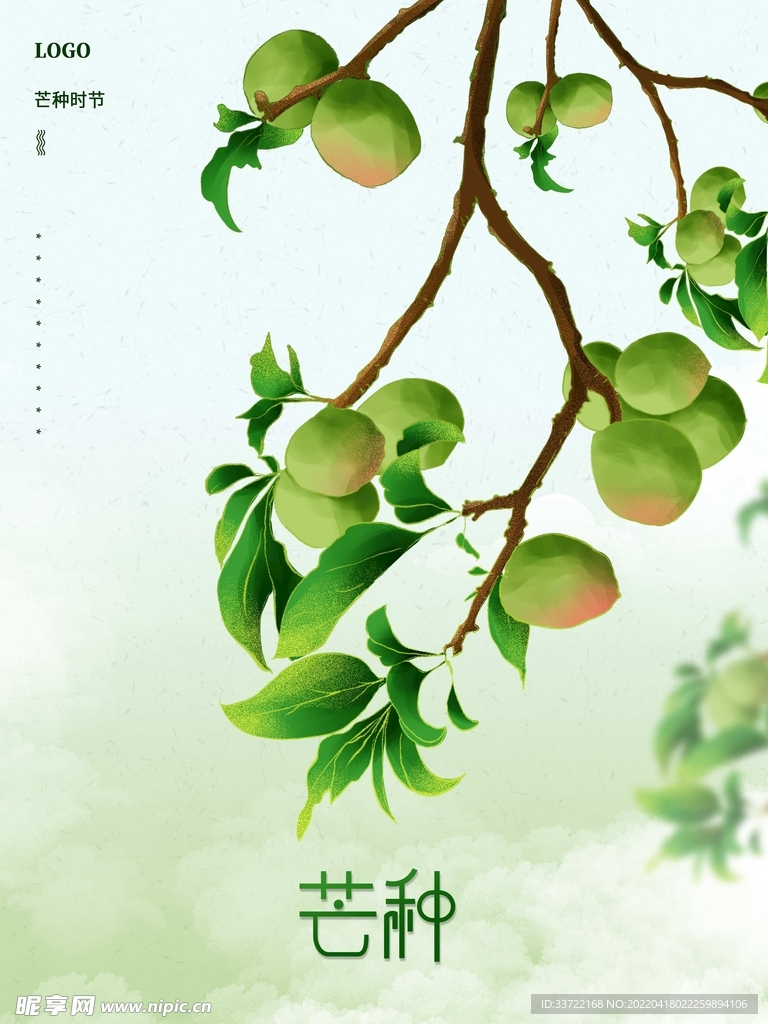 芒种
