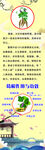 葛根功效