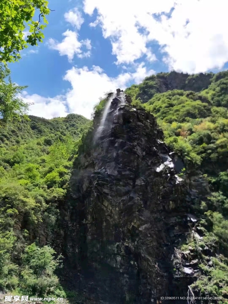 夏