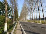 公路