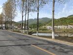道路