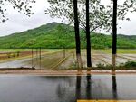 田园风光