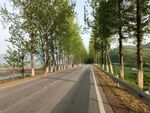 道路