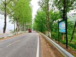 道路
