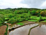 田园风光