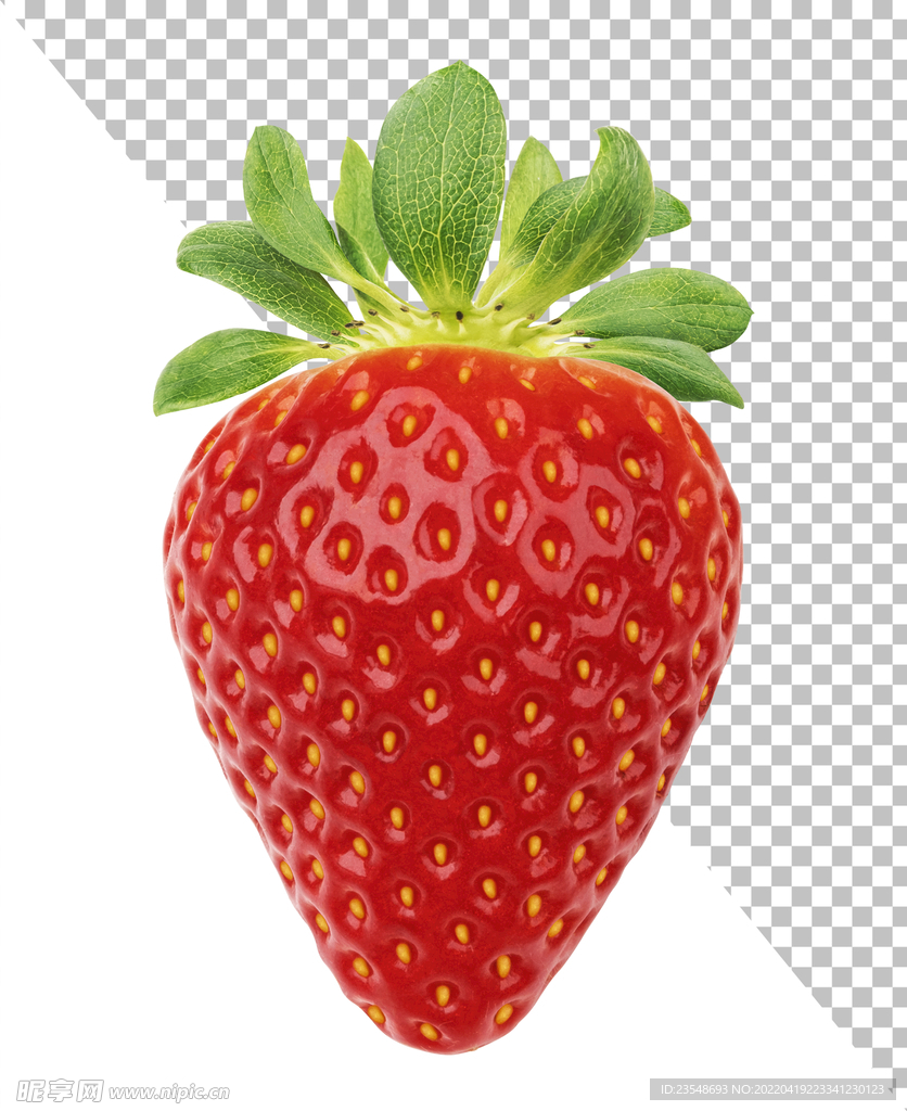 草莓