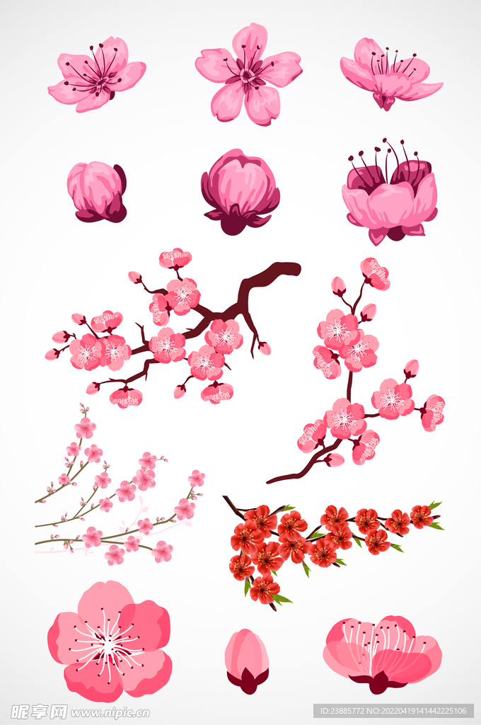 桃花