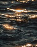 海