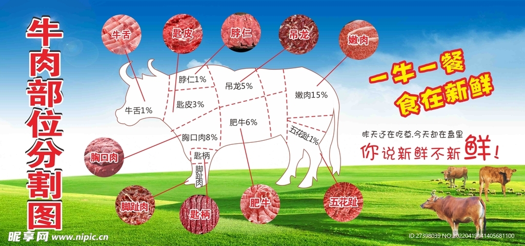 牛肉分割图