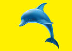 海豚插画