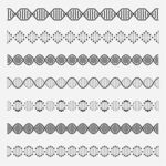 DNA分子