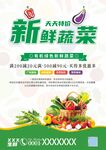 清新简约天天特价新鲜蔬菜彩页