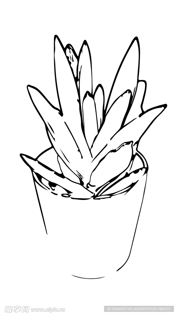 植物盆栽线稿矢量插图