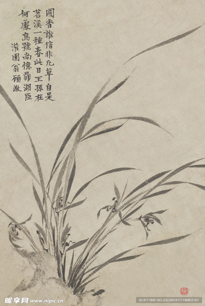 兰花重构