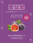 无花果海报