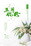  五月你好 