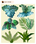 绿色手绘热带植物矢量素材