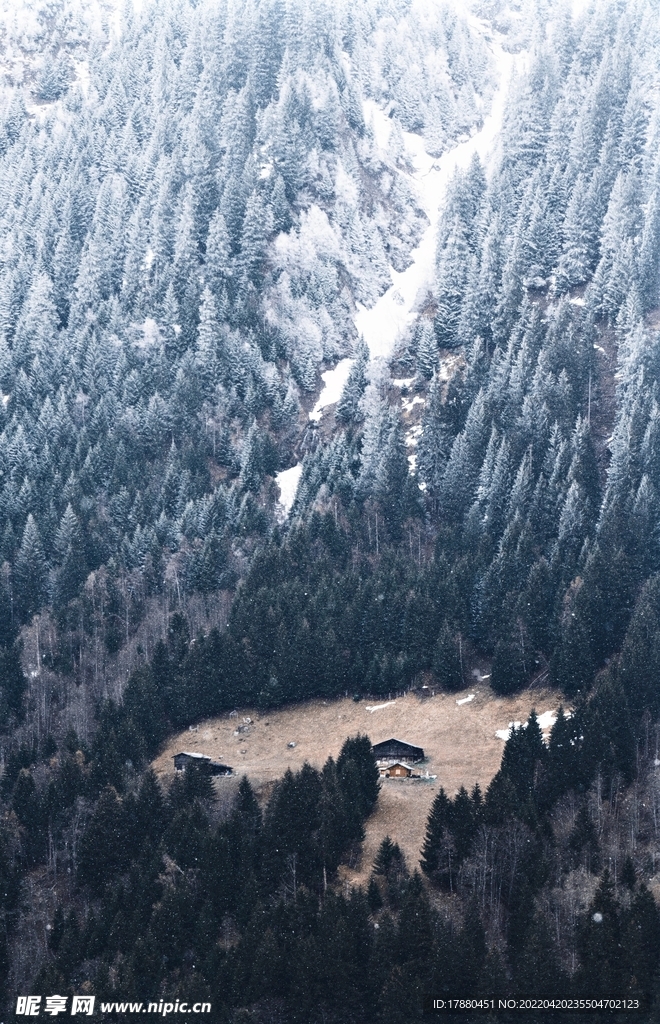 山林