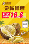 金枕榴莲海报