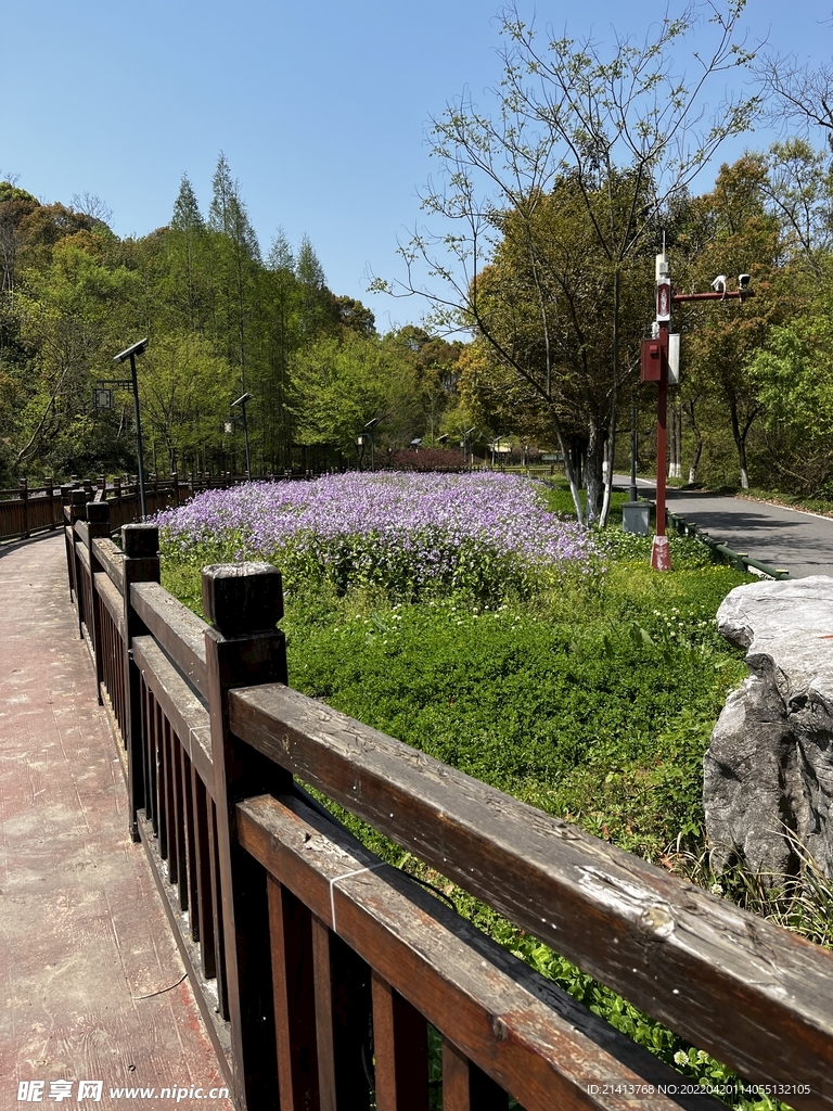 清新自然风景