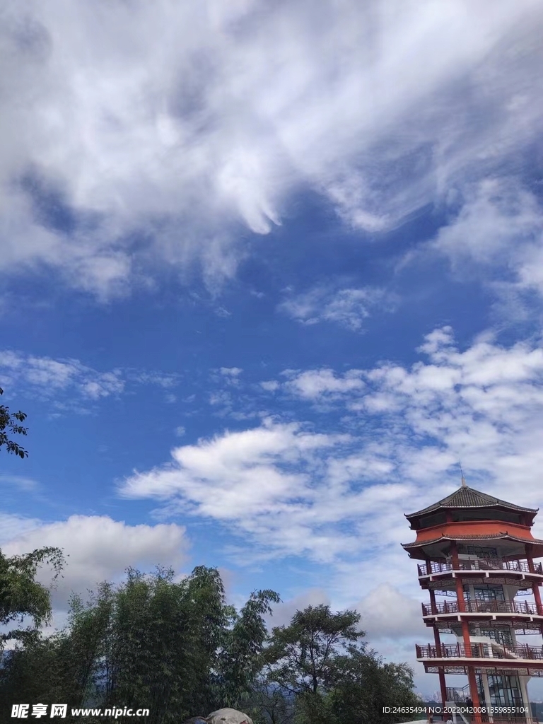 美