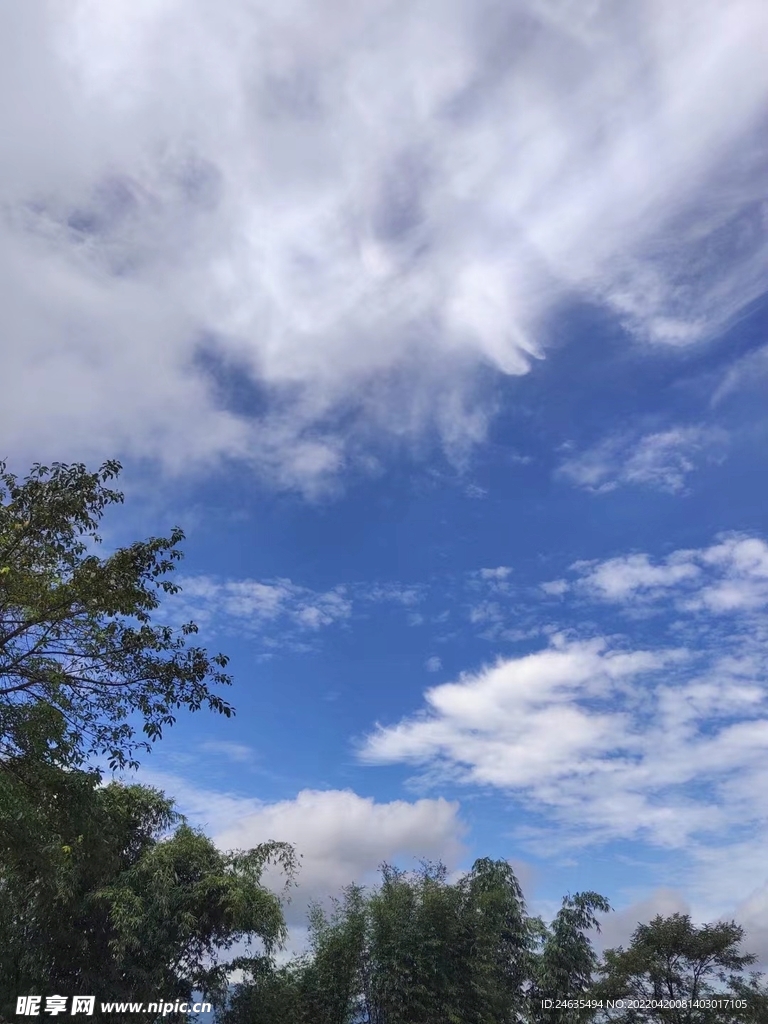 风景