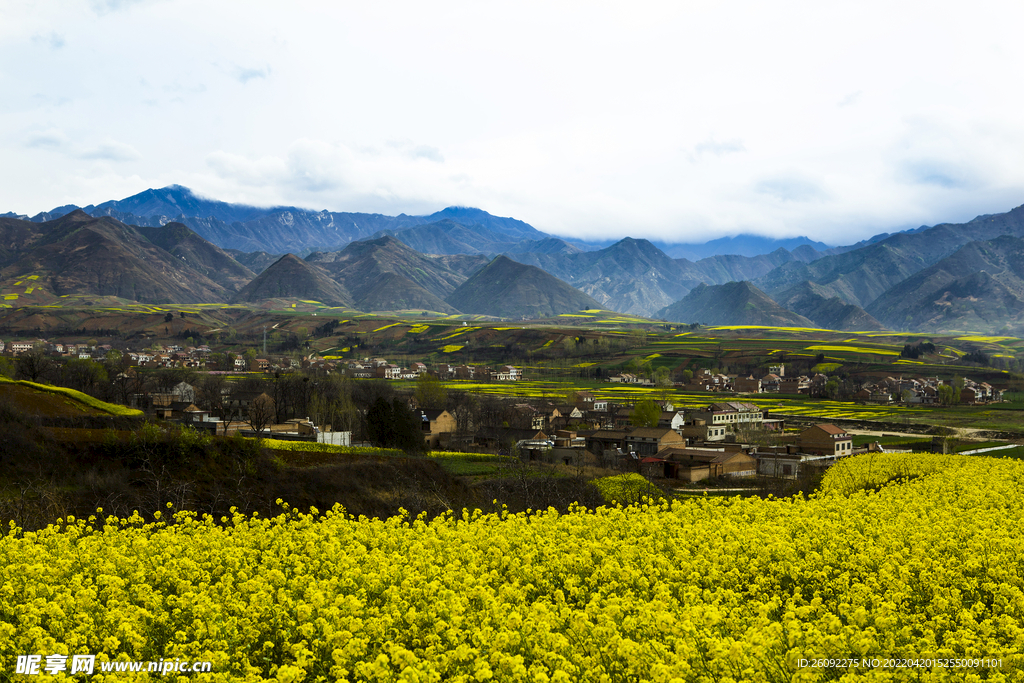 乡村风景