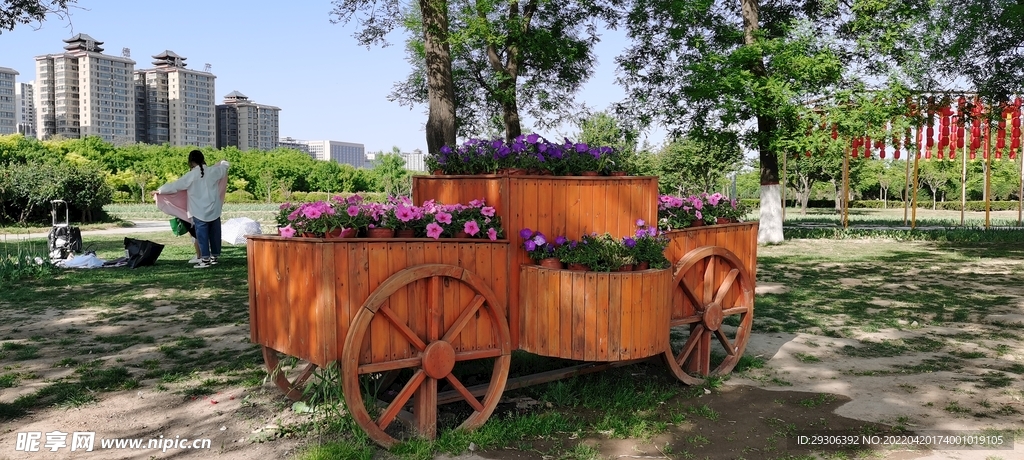 花  