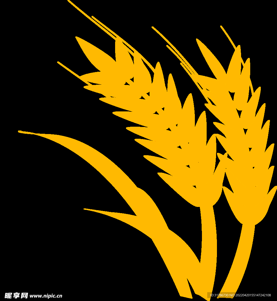 麦穗