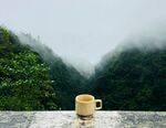 一杯茶