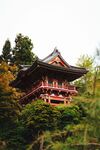 园林景观