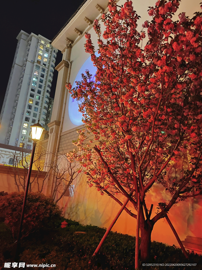 花朵